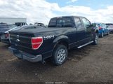 Ford F-150 Xlt 1FTFX1ET0DFA28964 снимка