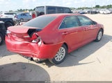 Toyota Camry L 4T4BF1FK1DR316545 снимка