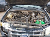 Ford Escape Xls/Xls Manual 1FMCU02Z98KA34527 photo