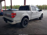 Ford F-150 Platinum 1FTFW1ET2DFD21462 снимка