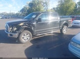 Ford F-150 Xlt 1FTEW1EF4GKF14021 снимка