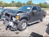 Ford F-150 Xlt 1FTFW1EF7DFA07090 снимка