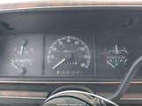 Ford Bronco U100 1FMEU15N9KLA31278 снимка