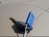 Ford Focus Se/Ses 1FAHP36N77W105893 снимка
