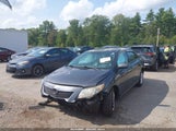 Toyota Corolla Le 2T1BU4EE8AC281982 fotografie