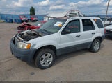 Ford Escape Xlt 1FMYU93143KB59723 снимка