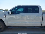 Ford F-150 Platinum 1FTFW1E88PFA11655 снимка