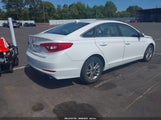 Hyundai Sonata Se 5NPE24AFXGH390399 снимка