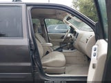 Ford Escape Xlt/Xlt Sport 1FMYU03196KB67736 снимка