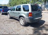Ford Escape Xlt/Xlt Sport 1FMYU93146KB34972 fotografie