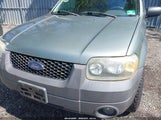 Ford Escape Xlt/Xlt Sport 1FMYU93146KB34972 fotografie