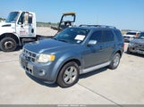 Ford Escape Limited 1FMCU0EG0AKD06060 снимка