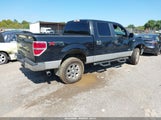 Ford F-150 Xlt 1FTFW1ET6EFA39892 снимка