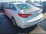Hyundai Sonata 5NPE24AF2GH405638 fotografie