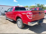 Ford F-150 Fx4/Harley-Davidson/King Ranch/Lariat/Platinum/Xl/Xlt 1FTFW1EV0AFA55517 fotografie