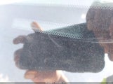 Infiniti Fx35 JNRAS08W06X206698 снимка