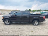 Ford F-150 Xlt 1FTFW1CF1DFB73253 снимка
