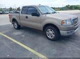 Ford F-150 Lariat/Xlt 1FTRX12594KD56295 fotografie