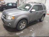 Ford Escape Hybrid 1FMCU59H28KA54547 снимка