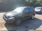 Toyota Rav4 JTMBD33V265049461 снимка