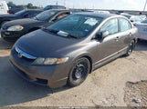 Honda Civic Lx 19XFA1F59BE026767 снимка