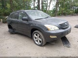 Lexus Rx 330 JTJHA31UX40030466 снимка
