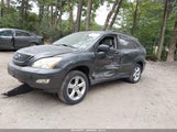Lexus Rx 330 JTJHA31UX40030466 снимка