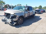 Ford F-150 Fx4/King Ranch/Lariat/Platinum/Xl/Xlt 1FTPW14V09FA01118 fotografie