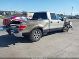 Ford F-150 Fx4/King Ranch/Lariat/Platinum/Xl/Xlt 1FTPW14V09FA01118 fotografie