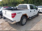 Ford F-150 Fx4/King Ranch/Lariat/Platinum/Xl/Xlt 1FTPW14V99FB42429 photo
