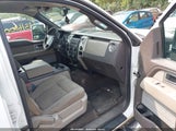 Ford F-150 Fx4/King Ranch/Lariat/Platinum/Xl/Xlt 1FTPW14V99FB42429 fotografie