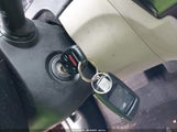 Miniaturka zdjęcia 11