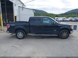 Ford F-150 Lariat 1FTFW1ET3DFD95201 снимка