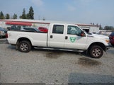 Ford F-250 Xlt 1FT7W2B60EEA33973 снимка