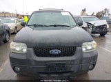 Ford Escape Xlt/Xlt Sport 1FMYU93106KA22587 снимка