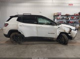 Jeep Compass Trailhawk 4X4 3C4NJDDN1PT527980 снимка