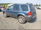 Ford Escape Xlt 1FMYU93155KE23809 снимка
