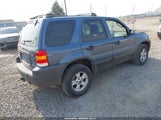Ford Escape Xlt 1FMYU93155KE23809 снимка