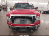 Ford F-150 Fx4/Harley-Davidson/King Ranch/Lariat/Platinum/Xl/Xlt 1FTFW1EV5AFC91788 photo