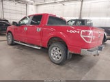 Ford F-150 Fx4/Harley-Davidson/King Ranch/Lariat/Platinum/Xl/Xlt 1FTFW1EV5AFC91788 fotografie