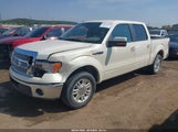 Ford F-150 King Ranch/Lariat/Platinum/Xl/Xlt 1FTPW12VX9FA26448 fotografie