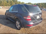 Mercedes-Benz Ml 350 4Matic 4JGBB8GBXAA585802 fotografie