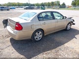 Chevrolet Malibu Lt 1G1ZT51866F302133 fotografie