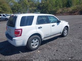 Ford Escape Xls 1FMCU9C71BKB36154 fotografie