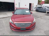 Hyundai Sonata Se 5NPE24AF5FH122665 fotografie