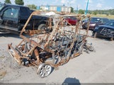 Miniaturka zdjęcia 2