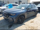 Miniaturka zdjęcia 2