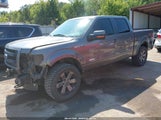 Ford F-150 Fx4 1FTFW1ET1EKF18387 снимка