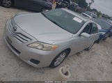 Miniaturka zdjęcia 2
