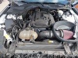 Ford Mustang Ecoboost 1FA6P8TH5G5222767 снимка